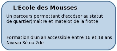 ecole-mousse.jpg